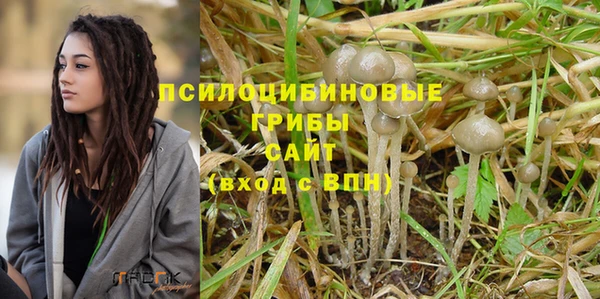 гидропоника Алексеевка