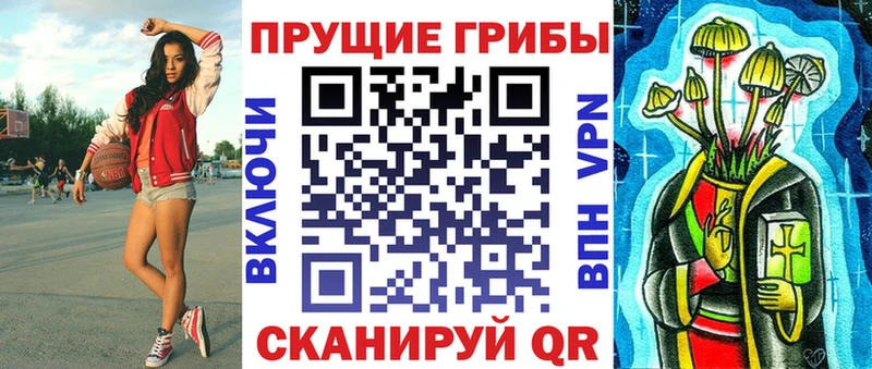наркотики  Ивангород  Псилоцибиновые грибы Cubensis 